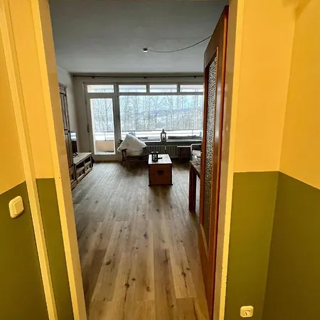 Mountain Apartment Sankt Andreasberg